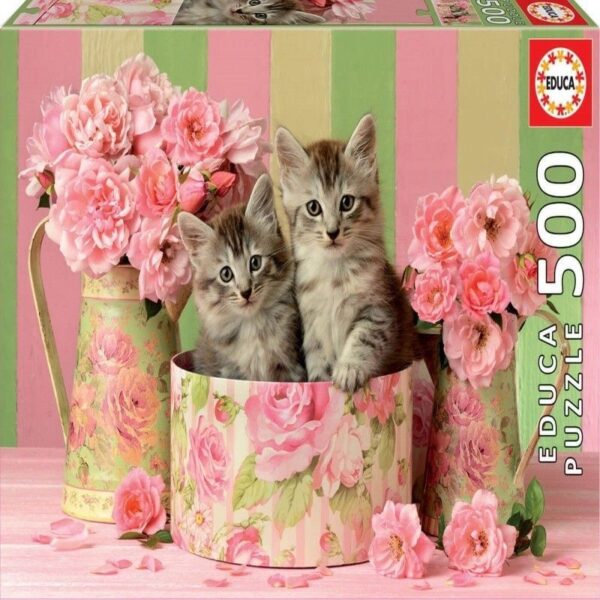 500  GATITOS  CON  ROSAS