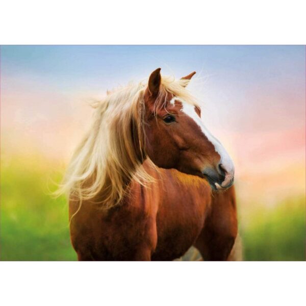 PUZZLE 500 CABALLO AL AMANECER